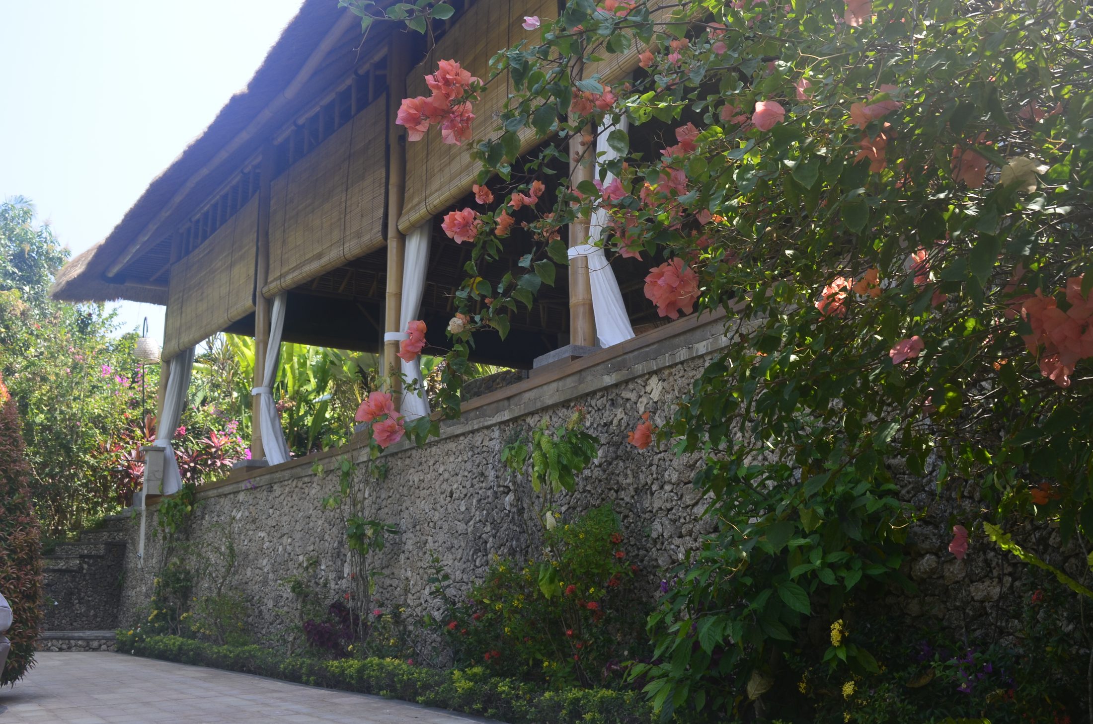Timber and thatch roof structure of the Alamanda Yoga Shala seen from below